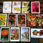 13 db Nők Lapja magazin újság virágok kártyanaptár gyűjtemény egyben 1972-1986 fotó