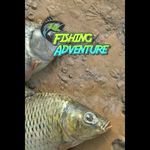 Fishing Adventure (PC - Steam elektronikus játék licensz) fotó