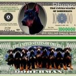 Dobermann Doberman Kutya 1 millió dollár emlékpénz UNC No.206 fotó