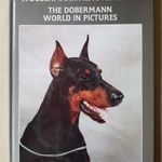 Ferencz Bakondi - A dobermannvilág képekben - The dobermann world in pictures; kutya -T06 fotó