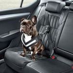 Audi Biztonsági kutyahám ( l ), skoda fotó