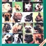 Bulldog enciklopédia - Bővített, III. kiadás fotó