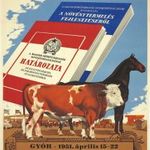 Eredeti régi plakát retro: MEZŐGAZDASÁGI KIÁLLÍTÁS ÉS TENYÉSZÁLLAT VÁSÁR - GYŐR 1951 ló fotó
