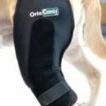 Ortocanis - Térdrögzítő merevítővel kutyáknak XS fotó