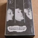 Bonanza Banzai: Induljon a banzáj! - kazetta (J) fotó