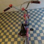 Hauser Kiwi 16" gyerek kerékpár fotó