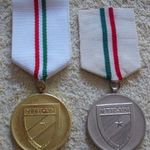 Sakk ( MTK - VM ) - Sportérmek : 1980-as évek ( Egyetértés : I - II.díj -Szalaggal !) ( M) fotó