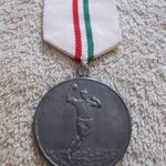 Kézilabda : 1951 ( Komárom Megyei T.S.B. ) Sportérem ( II.díj - Szalaggal )(Sz ) fotó