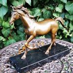 Meseszép lovas bronz szobor fotó