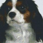 Pixel szett 4 normál alaplappal, színekkel, kutya, beagle (804208) fotó