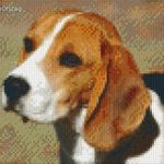 Pixel szett 4 normál alaplappal, színekkel, kutya, beagle (804042) fotó