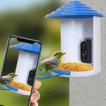 Birdy napelemes madáretető kamerával fotó