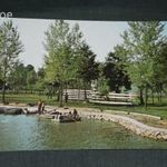 Képeslap, Orfű, Pécsi tó látkép részletek, vitorlás, csónak fotó