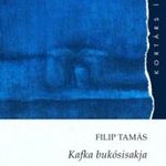 Filip Tamás - Kafka bukósisakja fotó