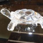 Üveg teknős / akvárium dísz fotó