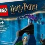 LEGO® (30677) Harry Potter - Draco a tiltott erdőben fotó