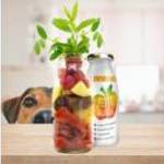 SmoothieDog Immunerõsítõ smoothie kutyáknak (marhahússal) 250ml - Dogledesign fotó