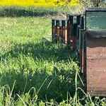 Nyúlon 10 db 1/2 NB méhcsalád kereten eladó fotó