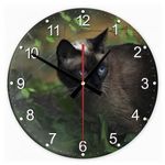 Sziámi macska 29 kör alakú üveg óra falióra fotó
