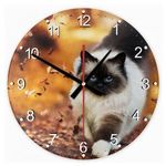 Sziámi macska 31 kör alakú üveg óra falióra fotó