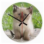 Sziámi macska 42 kör alakú üveg óra falióra fotó