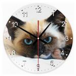 Sziámi macska 26 kör alakú üveg óra falióra fotó