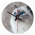 Sziámi macska 20 kör alakú üveg óra falióra fotó