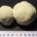 Ásvány LÖSZBABA különleges forma: összenőtt gömbök 3. fotó
