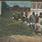 Nagykőrös Uborka piac 1918 fotó