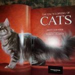 The Encyclopedia of Cats - angol nyelvű könyv csodás fotókkal 60 macskafajtáról fotó