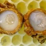 Bodó Méhészet Méhpempő - 200gramm fotó