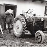 Terménybehordás Zetor diesel traktor cca 1960 11, 5/8, 5 jelzetlen művészfotó fotó
