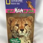 EREDETI műsoros videókazetta National Geographic Igazi Vadon Élő Állatok Táncos Szafari VHS kazetta fotó