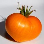 Narancs eper/ German Orange Stawberry PARADICSOM (5+) magok - AROMÁS ÖKÖRSZÍV TÍPUS! - P 156 fotó