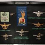 MH repülő műszaki, orvos, rádiós, osztályos jelvények + deszantos + légvédelmi (gyűjtemény albumlap) fotó