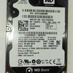 WD Western Digital 320GB laptop / notebook HDD merevlemez SATA 100/100 #0966 fotó
