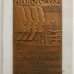 **Orsz. Dalos Ünnepély Miskolc, 1934 (Hawel Bp. éremgyártó) préselt rézlemez plakett, márványon. fotó