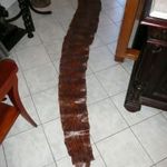 KURIÓZUM! Hibátlan óriási 3 méter hosszú kikészített valódi kígyóbőr/piton bőrdíszműves hagyatékából fotó
