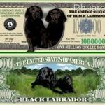 Fekete Labrador Kutya 1 millió dollár emlékpénz UNC No.208 fotó