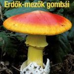 Erdők-mezők gombái - Javított utánnyomás fotó