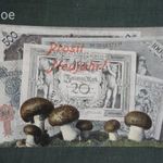 Képeslap, Germany, újévi üdvözlet, Birodalmi bankjegyek, kincstárjegy, pénz, gomba, 1908 fotó