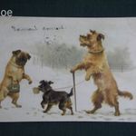 Képeslap, litho, artist, Anstalt, humor, vicc, Dog, Kutya sétáltatás, koldulás, 1899 fotó