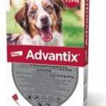 Advantix® 1 db spot on 10-25 kg közötti kutyáknak 1x2, 5 ml fotó