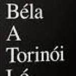 Tarr Béla- A torinói ló (2011)-eredeti dvd-bontatlan! fotó