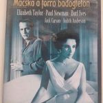 MACSKA A FORRÓ BÁDOGTETŐN (Elizabeth Taylor, Paul Newman) Extra változat, BONTATLAN fotó