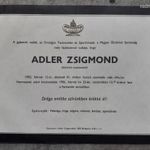 Adler Zsigmond gyászjelentés (1982) Papp Laci edzője fotó