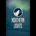 Northern Lights (PC - Steam elektronikus játék licensz) fotó