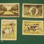 Gyufacímke sor, 4 db, CCCP, Szovjetunió, mezőgazdasági szövetkezet, tehén, malac, kukorica, gyümölcsfa fotó