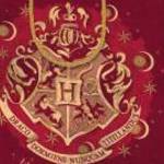 Karácsonyi ajándéktáska 23x18x10cm, közepes, Harry Potter Happy Christmas - CARDEX fotó