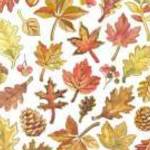 Matrica, őszi színes levelek, 15x17cm - DP CRAFT fotó
